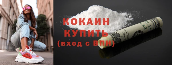 индика Гусев