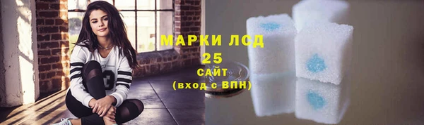 индика Гусев