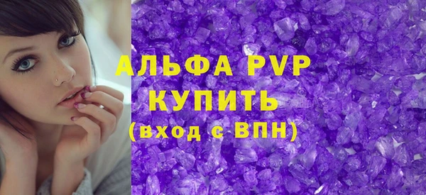 индика Гусев