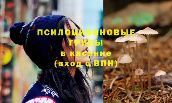 индика Гусев