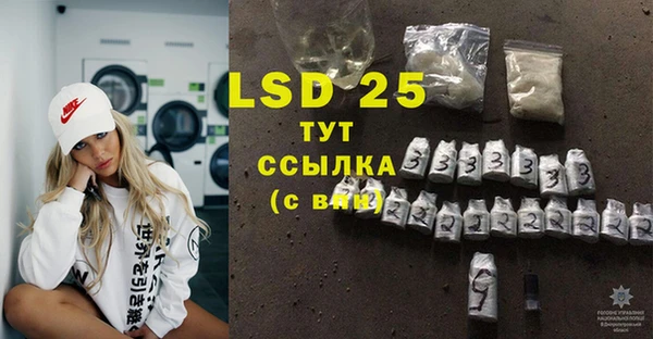индика Гусев