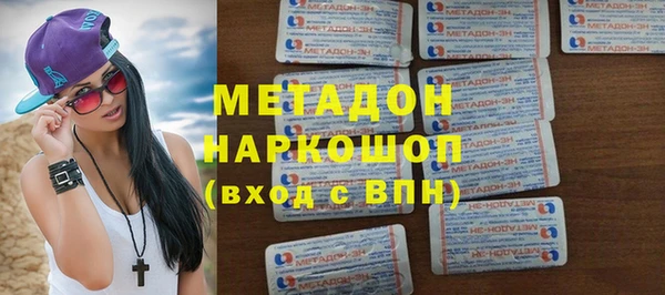 индика Гусев