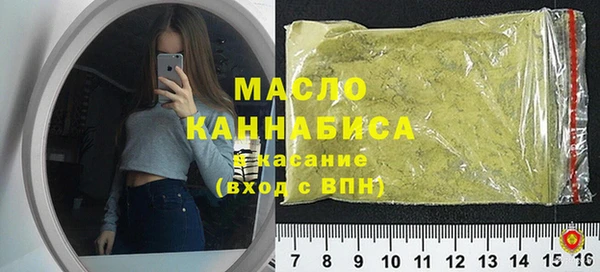 индика Гусев